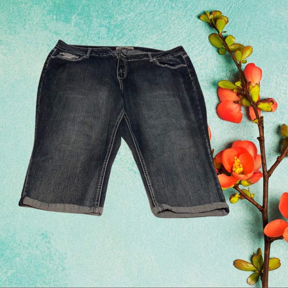 Zanadi Jean capris plus size 24